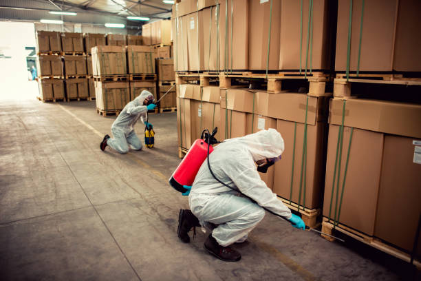 Best Emergency Pest Control  in Chadron, NE