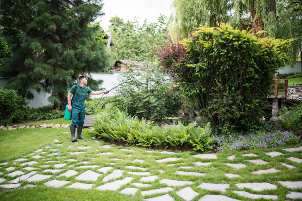 Best Pest Inspection Near Me  in Chadron, NE