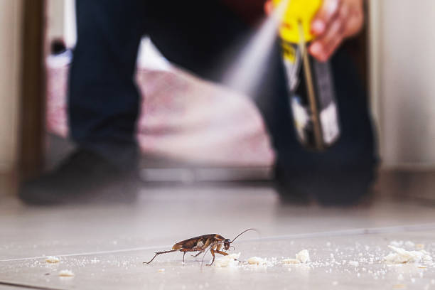 Wildlife Control Services in Chadron, NE