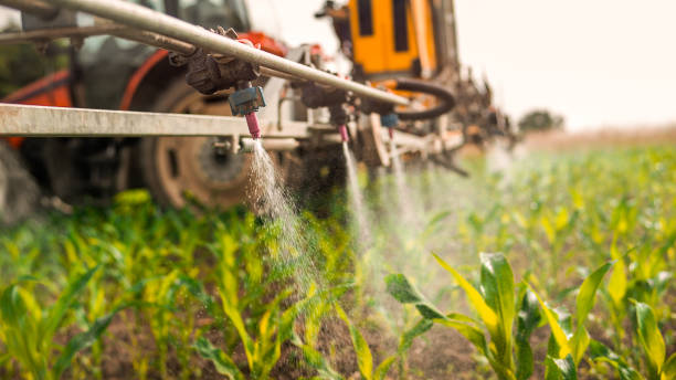Best Local Pest Control Services  in Chadron, NE