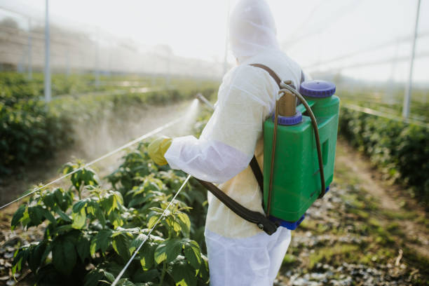Best Wasp Removal Services  in Chadron, NE